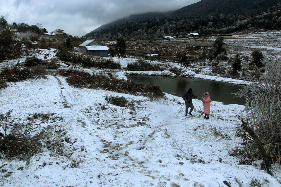 Tuyết rơi phủ trắng xóa tại xã Y Tý, huyện Bát Xát. (Ảnh: Quốc Khánh/TTXVN)
