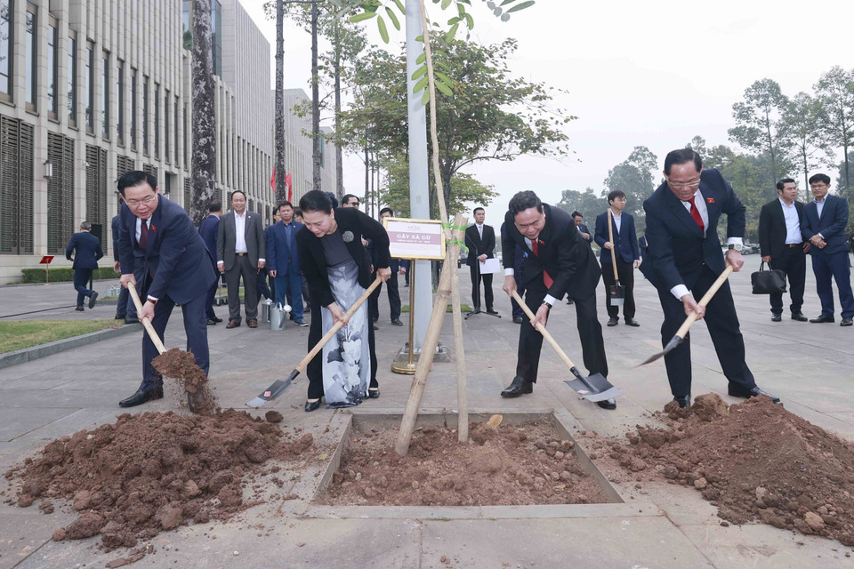 Chủ tịch Quốc hội Vương Đình Huệ, nguyên Chủ tịch Quốc hội Nguyễn Thị Kim Ngân và các vị lãnh đạo Quốc hội trồng cây xà cừ do Chủ tịch Quốc hội Thái Lan Chuan Leekpai tặng. (Ảnh: Doãn Tấn/TTXVN)
