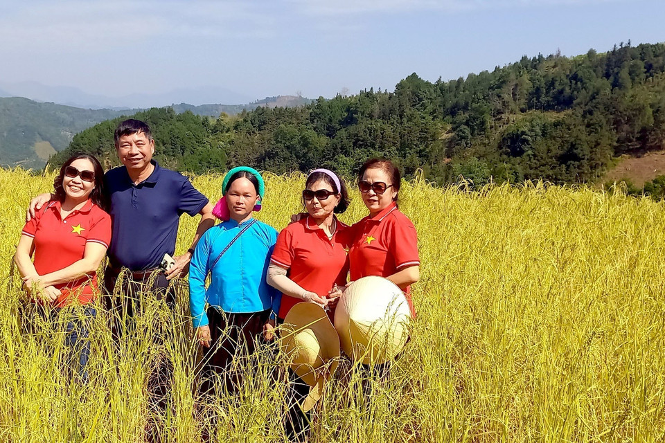 Du khách thích thú check-in cùng cô gái Sán Chỉ tại cánh đồng vàng Bình Liêu. (Ảnh: Thanh Vân/TTXVN)