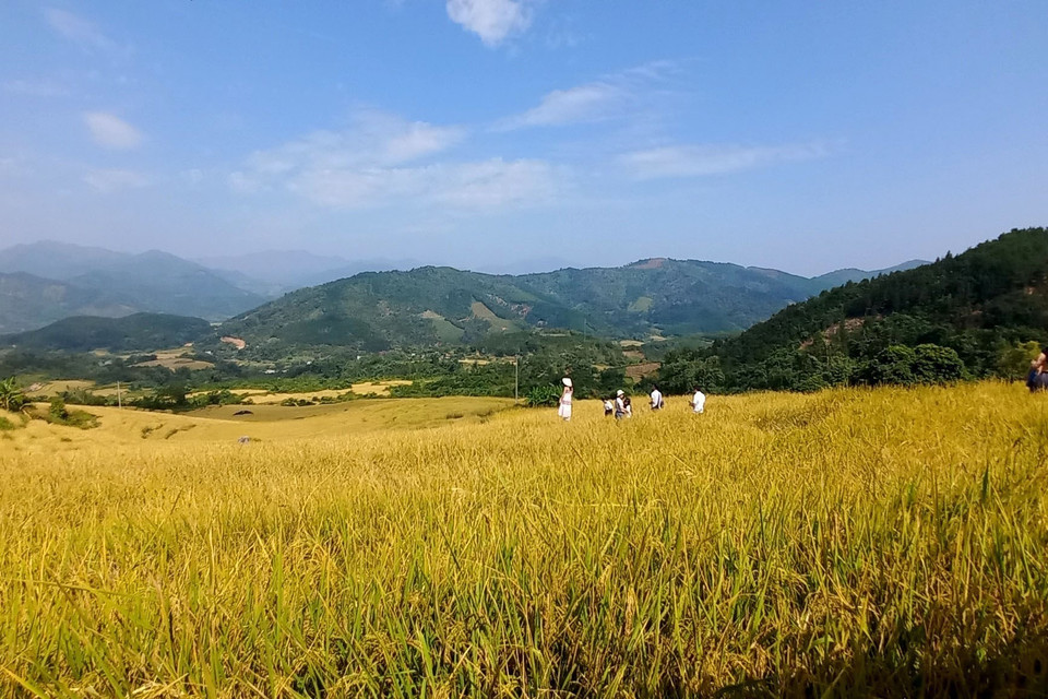 Vào dịp cuối tuần du khách đến Bình Liêu tăng mạnh, các dịch vụ trải nghiệm thu hút du khách. (Ảnh: TTXVN phát)