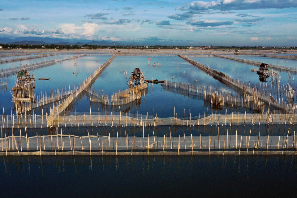 Tỉnh Thừa Thiên-Huế hiện có trên 7.000 ha mặt nước được đưa vào nuôi trồng thủy sản, trong đó diện tích nuôi nước lợ 5.000 ha, còn lại nuôi nước ngọt. Trong ảnh: Nuôi thủy sản trên Phá Tam Giang, huyện Phú Vang. (Ảnh: Hồ Cầu/TTXVN)