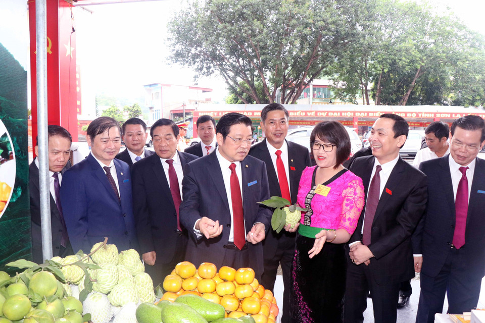 Ông Phan Đình Trạc, Bí thư Trung ương Đảng, Trưởng ban Nội chính Trung ương và các đại biểu tham quan các gian trưng bày các sản phẩm đặc sản của tỉnh Sơn La tại Đại hội. (Ảnh: Quang Quyết/TTXVN)