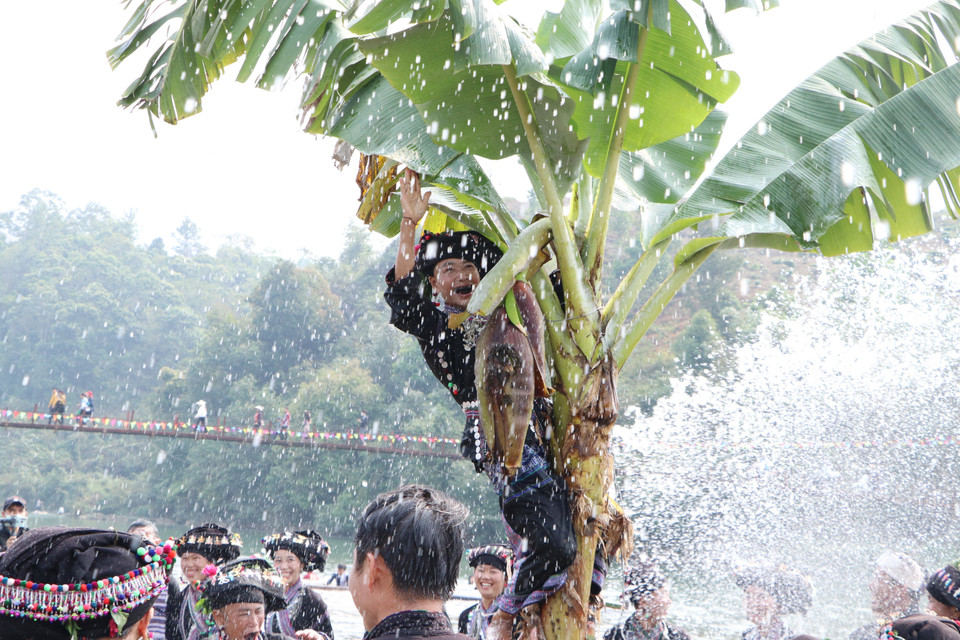 Người dân náo nức chèo cây chuối tại lễ hội, mong một năm may mắn, cây cối, vật nuôi sinh sôi, phát triển. (Ảnh: Đinh Thùy/TTXVN)