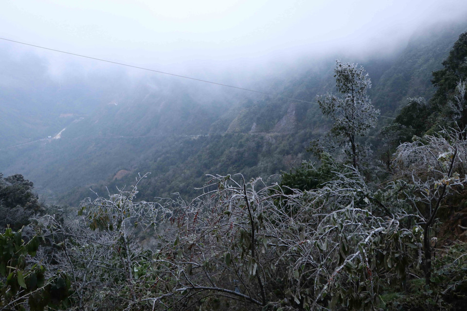 Băng giá phủ kín đoạn đèo Ô Quy Hồ thuộc địa phận tỉnh Lai Châu đi Sa Pa. (Ảnh: Nguyễn Oanh/TTXVN)