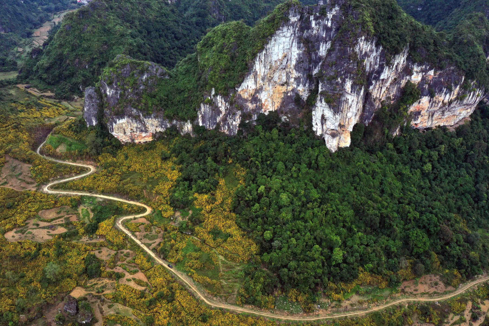 Mùa Đông, khi những vạt rừng hoa dã quỳ nở vàng rực rỡ cả núi đồi, rất nhiều du khách lạc lối quên về giữa vẻ đẹp hoang dại của núi rừng biên giới. (Nguồn: TTXVN phát)