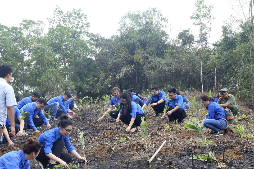 Đoàn viên, thanh niên TTXVN trồng cây hưởng ứng Tết trồng cây năm 2021 và chương trình trồng 1 tỷ cây xanh. (Ảnh: Tuấn Đức/TTXVN)