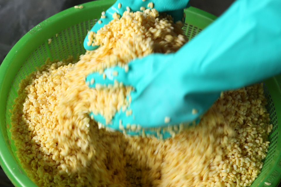 Công đoạn trộn đỗ rất quan trọng tạo nên chất lượng ruột của bánh chưng gù. (Ảnh: Quốc Khánh/TTXVN)