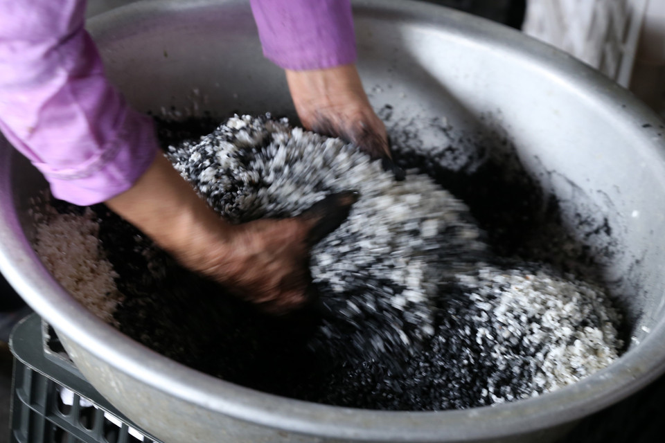 Gạo nếp nương được trộn với than lấy từ cây núc nác. Đó là nguyên liệu chính để làm được bánh chưng đen. (Ảnh: Quốc Khánh/TTXVN)