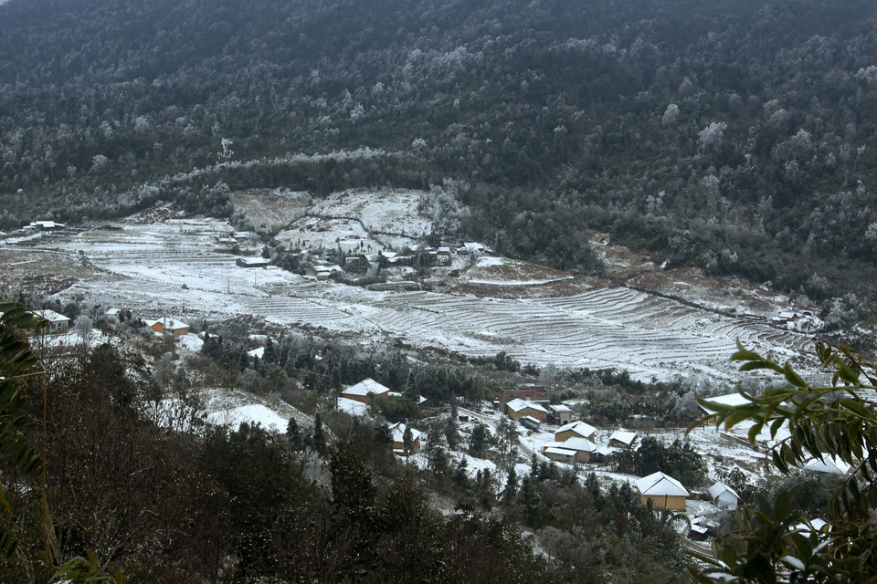 Tuyết rơi phủ trắng xóa tại xã Y Tý, huyện Bát Xát. (Ảnh: Quốc Khánh/TTXVN)