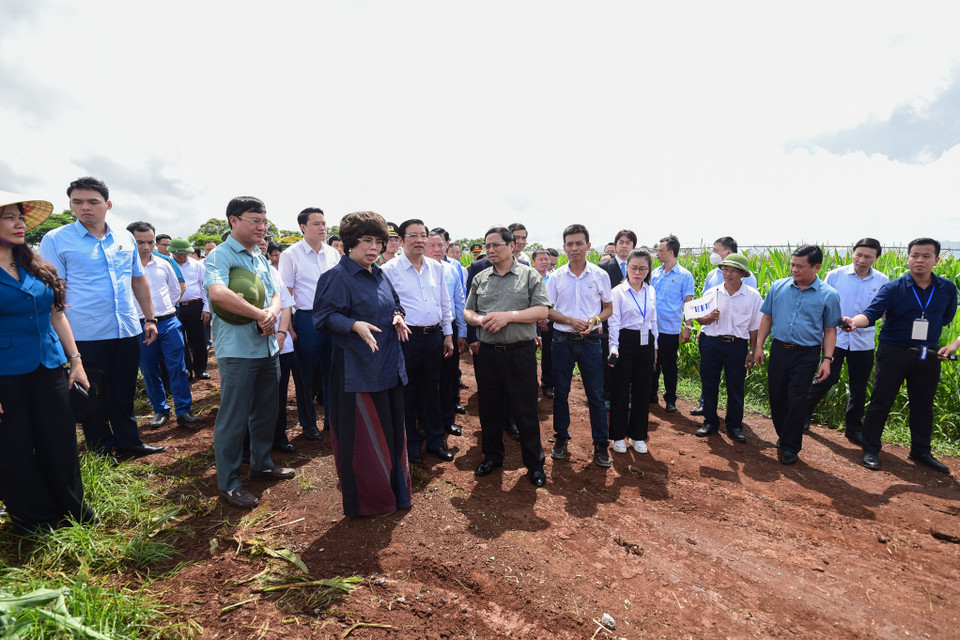 Thăm cánh đồng ứng dụng công nghệ cao của Tập đoàn TH tại xã Đông Hiếu, thị xã Thái Hòa; trao đổi đầu bờ với nông dân, các nhà khoa học, kinh tế, Thủ tướng Chính phủ cho rằng, mô hình cánh đồng ứng dụng công nghệ cao của Tập đoàn TH phù hợp với chủ trương phát triển của đất nước đó là phát triển bền vững, theo hướng kinh tế xanh, kinh tế tuần hoàn, giảm phát thải khí methan. (Ảnh: Minh Sơn/Vietnam+)