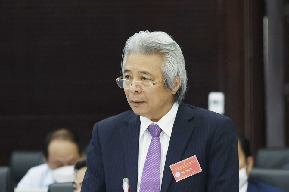 Giáo sư, Tiễn sỹ Võ Khánh Vinh phát biểu. (Ảnh: Thống Nhất/TTXVN)