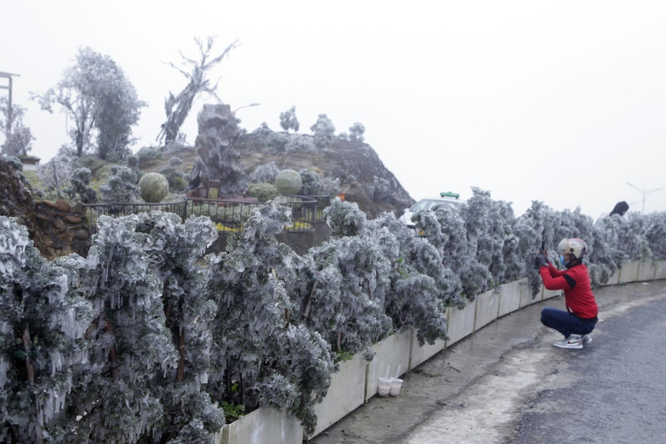 Du khách tranh thủ chụp lại những tấm ảnh để lưu lại khoảnh khắc thiên nhiên kỳ thú này. (Ảnh: Quý Trung/TTXVN)
