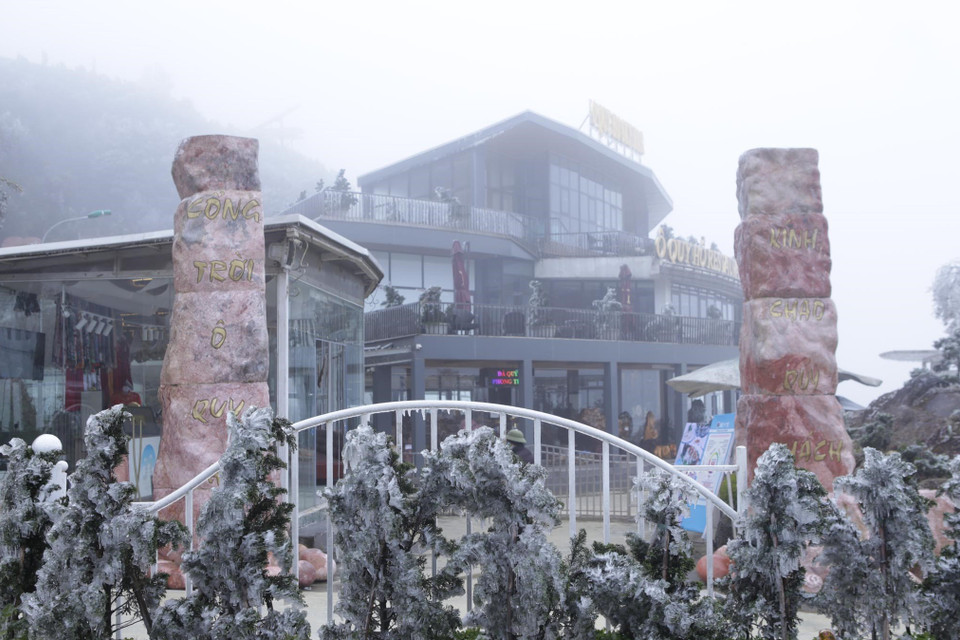 Ngày 23/2/2022, tại khu vực đỉnh Đèo Ô Quy Hồ thuộc xã Sơn Bình, Tam Đường (Lai Châu) và dãy núi Hoàng Liên Sơn tiếp tục xuất hiện băng giá. (Ảnh: Quý Trung/TTXVN)