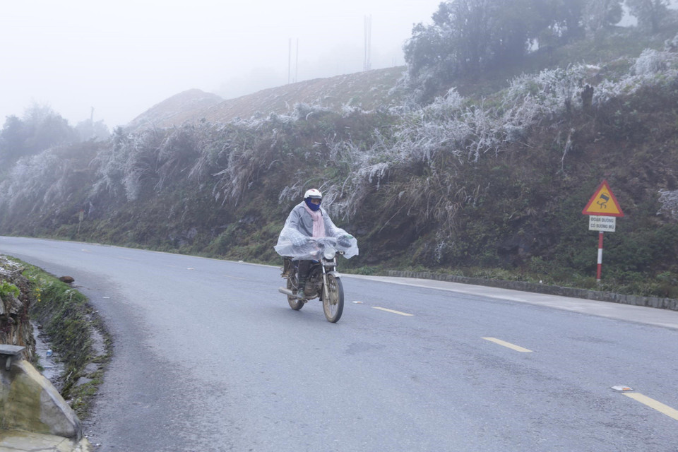 Người đi xe máy vẫn phải mặc áo mưa dù trời đã hết mưa khi đi qua khu vực đèo Ô Quý Hồ để chống chọi với giá rét 0-1 độ C. (Ảnh: Quý Trung/TTXVN)