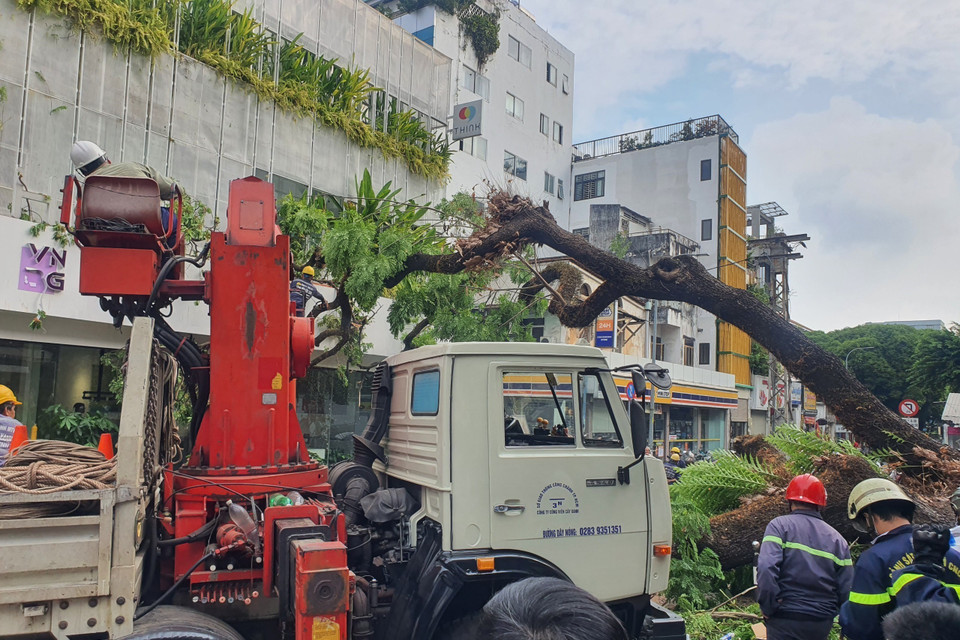 Lực lượng chức nhanh chóng có mặt để xử lý hiện trường và đưa những người bị thương đến bệnh viện chăm sóc. (Ảnh: TTXVN phát)