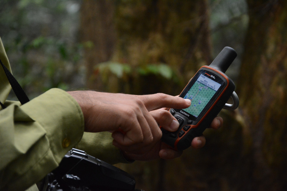 Lực lượng Hạt Kiểm lâm Sơn Trà-Ngũ Hành Sơn xác định định vị tuyến đường tuần tra trong rừng tại bán đảo Sơn Trà. (Ảnh: Văn Dũng/TTXVN)