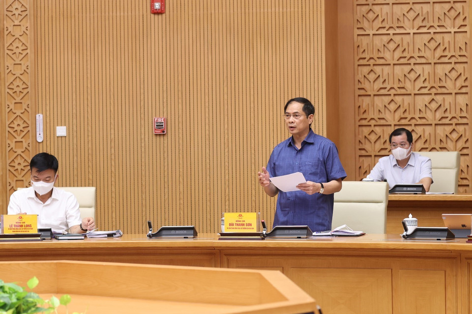 Bộ trưởng Bộ Ngoại giao Bùi Thanh Sơn phát biểu. (Ảnh: Dương Giang/TTXVN)