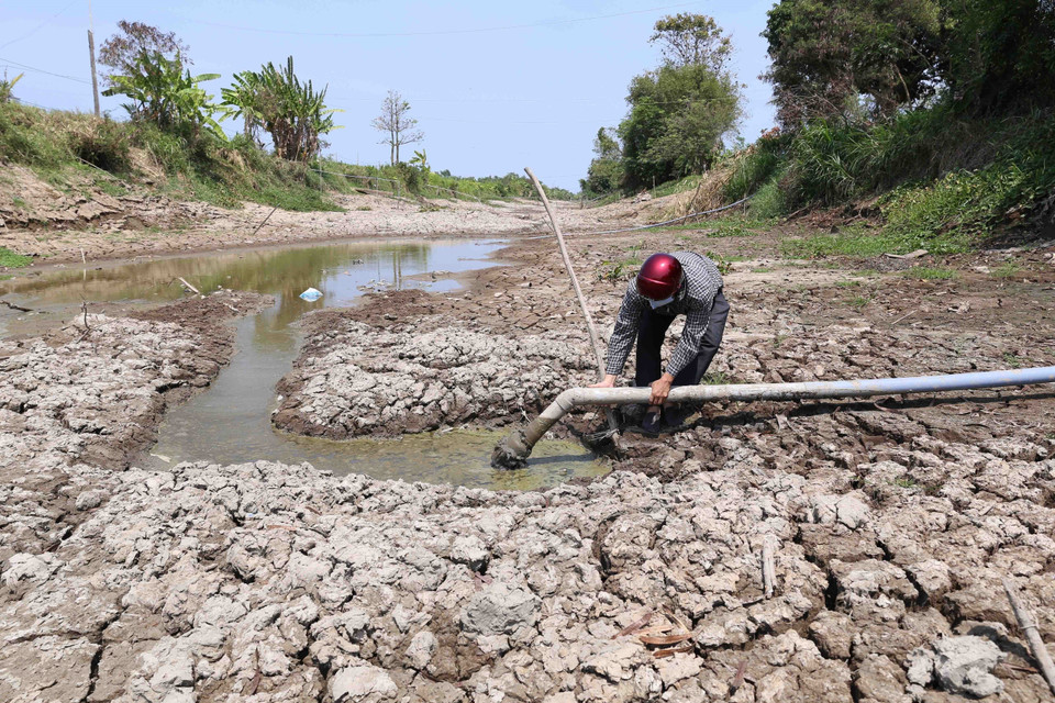 Nhiều kênh rạch cạn kiệt, người nông dân ở xã Long Hòa, thị xã Gò Công (Tiền Giang) không thể lấy nước phục vụ sản xuất. (Ảnh: TTXVN)