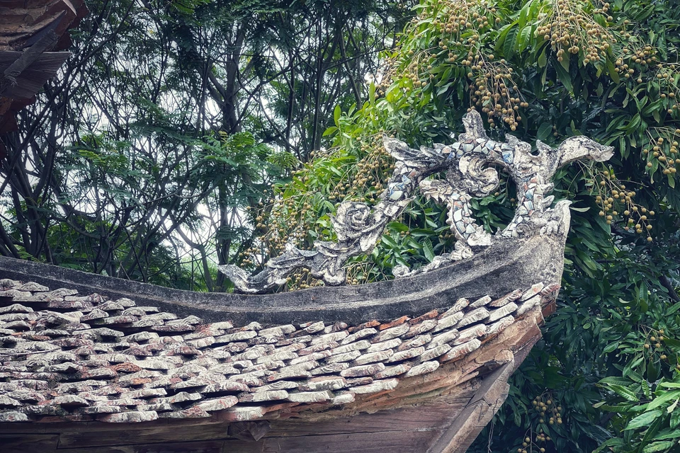 Mái dốc có 8 đầu đao cong mềm mại hình rồng. (Ảnh: Xuân Mai/Vietnam+)