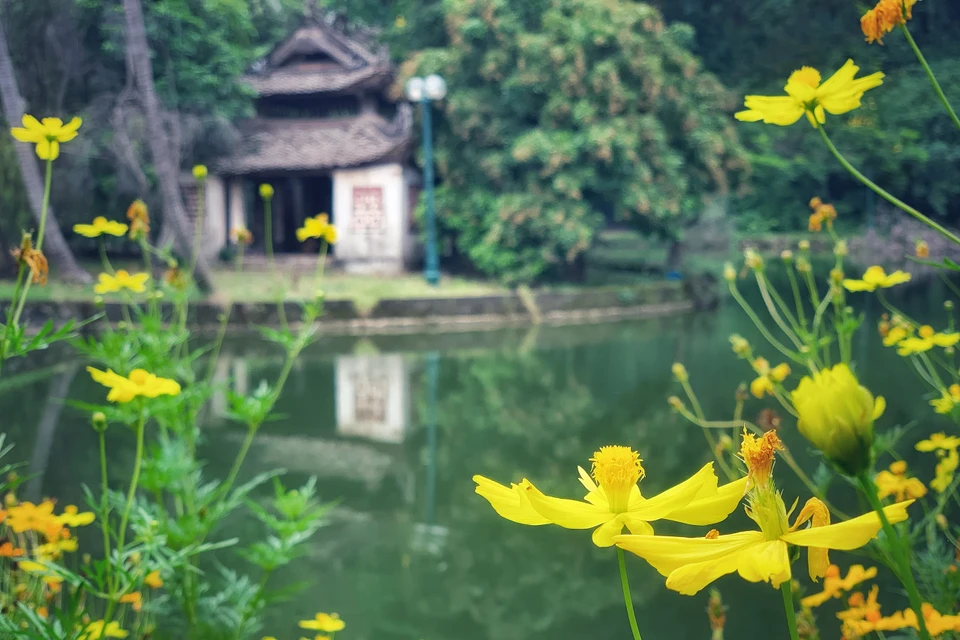 Nhà thủy đình 8 mái là một trong những tinh hoa kiến trúc dân gian độc đáo với 2 tầng cổ diêm, mái dốc có 8 đầu đao cong mềm mại... (Ảnh: Xuân Mai/Vietnam+)