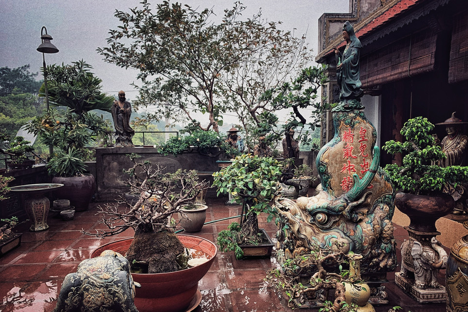 Một góc tiểu cảnh trên sân thượng của nghệ nhân Trần Tước. (Ảnh: Xuân Mai/Vietnam+)