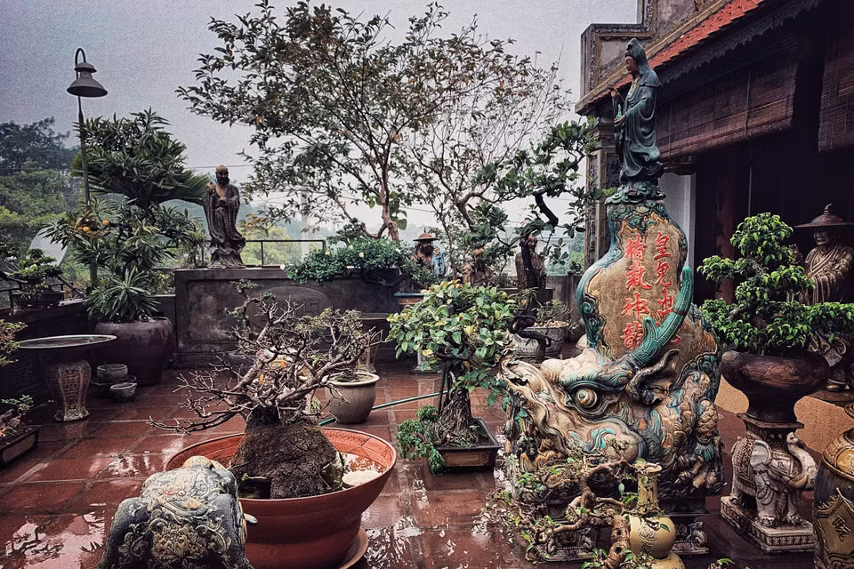 Một góc tiểu cảnh trên sân thượng của nghệ nhân Trần Tước. (Ảnh: Xuân Mai/Vietnam+)