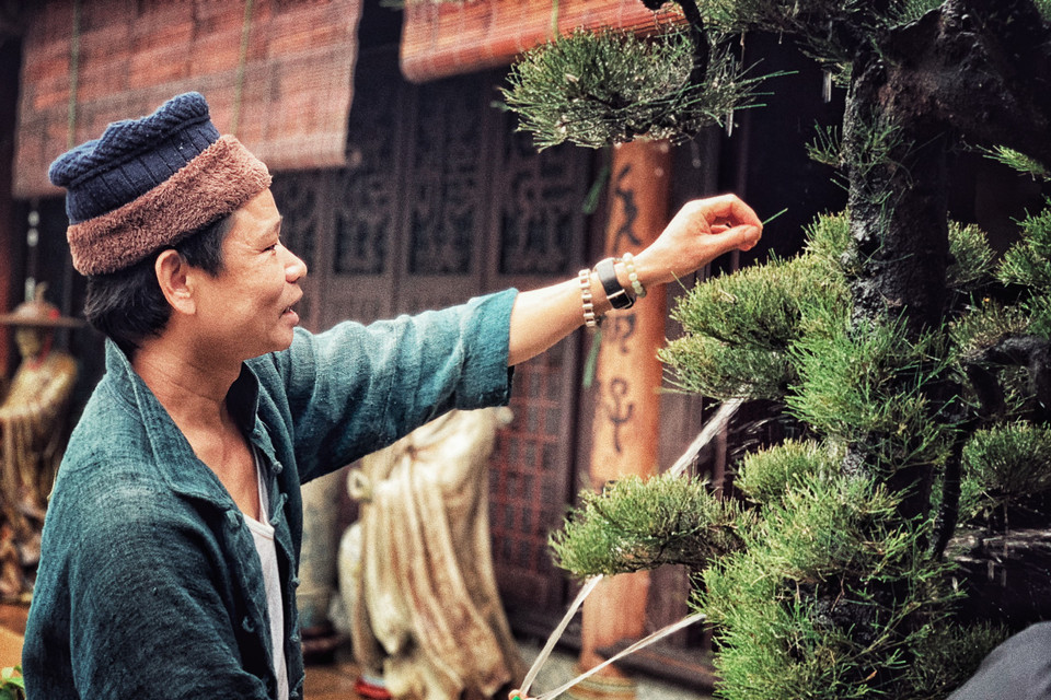 Mỗi cây mỗi thế dáng vô cùng độc đáo cho thấy cách chơi của một người có nghề và hỏi ra mới hay đó đều là tác phẩm của anh, mỗi cây là dấu ấn gắn bó với một phần trong cuộc đời cũng lắm thăng trầm của Trần Tước. (Ảnh: Xuân Mai/Vietnam+)