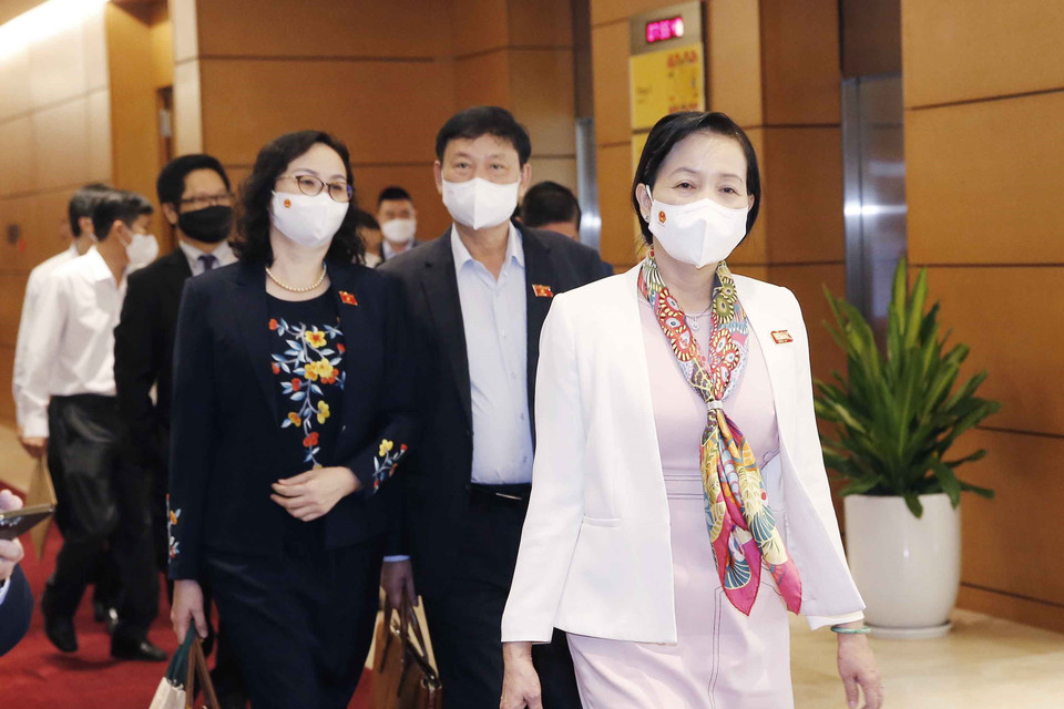 Đại biểu Quốc hội đến dự Phiên chất vấn. (Ảnh: Doãn Tấn/TTXVN)