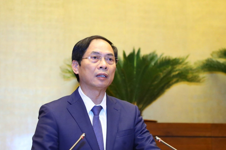 Bộ trưởng Bộ Ngoại giao Bùi Thanh Sơn báo cáo tại buổi gặp mặt. (Ảnh: Văn Điệp/TTXVN)