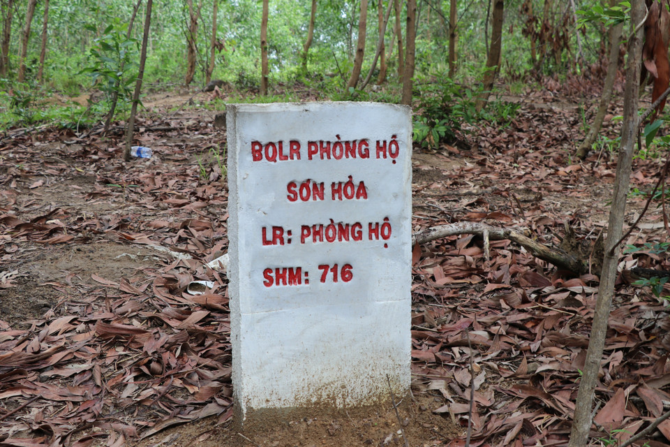 Khu vực rừng phòng hộ Sơn Hòa. (Ảnh: Phạm Cường/TTXVN)