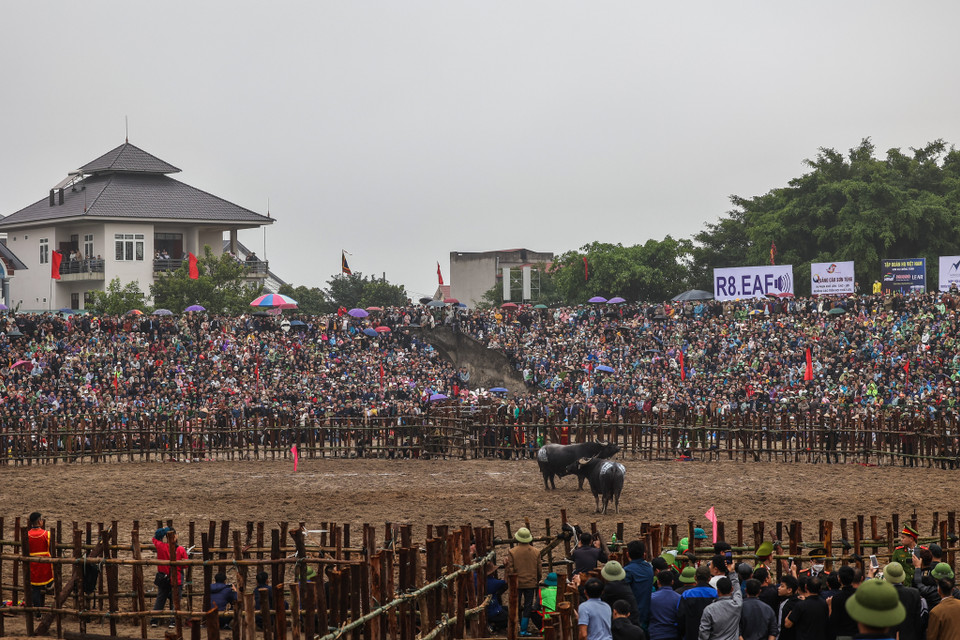 Ban tổ chức ước tính trong những ngày diễn ra lễ hội đã có hơn 2 vạn du khách từ khắp các địa phương trong cả nước đến tham dự. (Ảnh: Minh Sơn/Vietnam+)