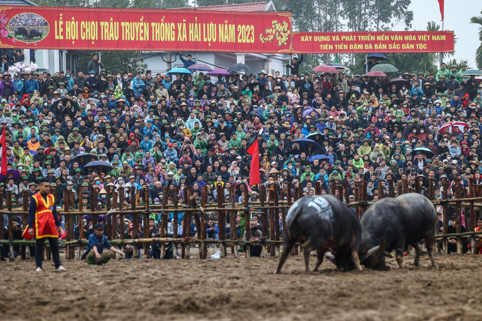 20 'ông Cầu' được chia làm các cặp đấu vòng loại. 'Ông Cầu' nào thắng thì được vào tiếp vòng trong thi đấu cho đến trận chung kết. Các 'ông Cầu' tham gia lễ hội năm nay có đội tuổi từ 11 - 12 tuổi. (Ảnh: Minh Sơn/Vietnam+)