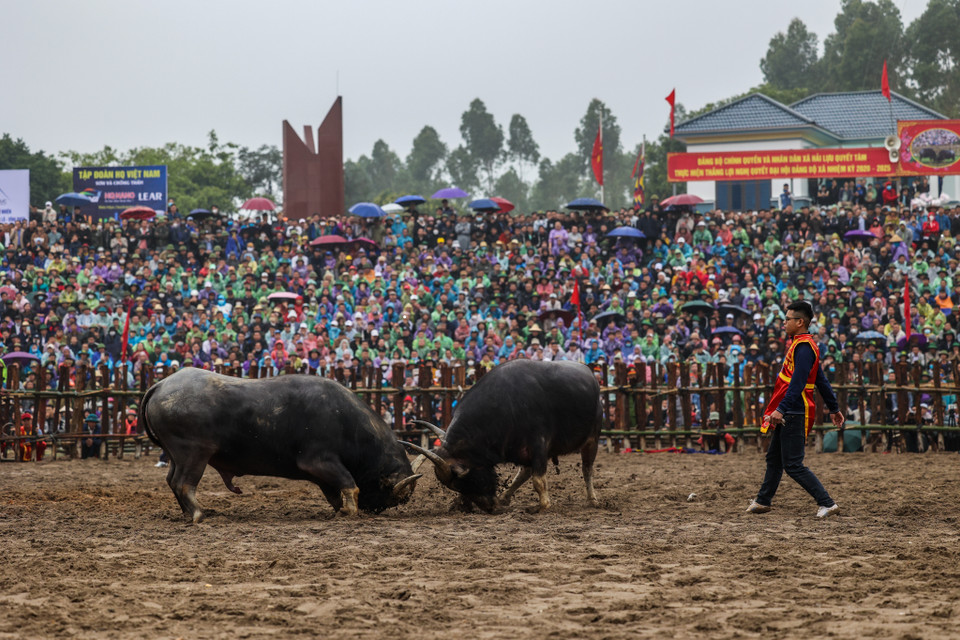 Tính đến năm 2023, lễ hội được khôi phục 21 năm, trở thành một lễ hội nổi tiếng, ngày càng được nhiều người biết đến. (Ảnh: Minh Sơn/Vietnam+)