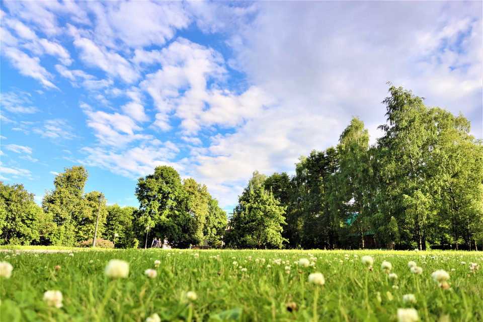 Thảm cỏ xanh trong công viên Kolomen. (Ảnh: Duy Trinh/TTXVN)