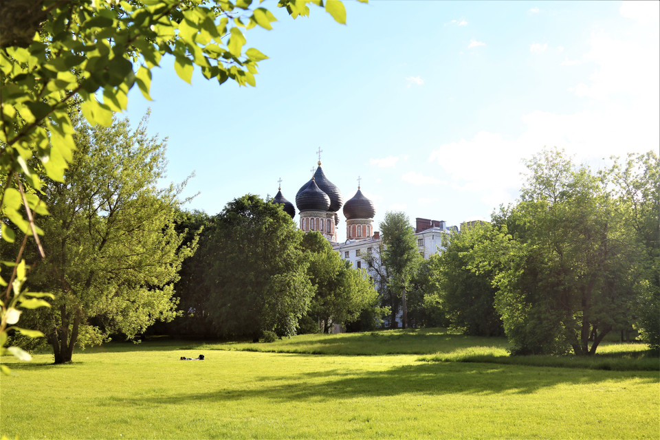 Màu xanh mát mắt trong công viên Bảo tàng-Điền trang Izmailovo. (Ảnh: Duy Trinh/TTXVN)