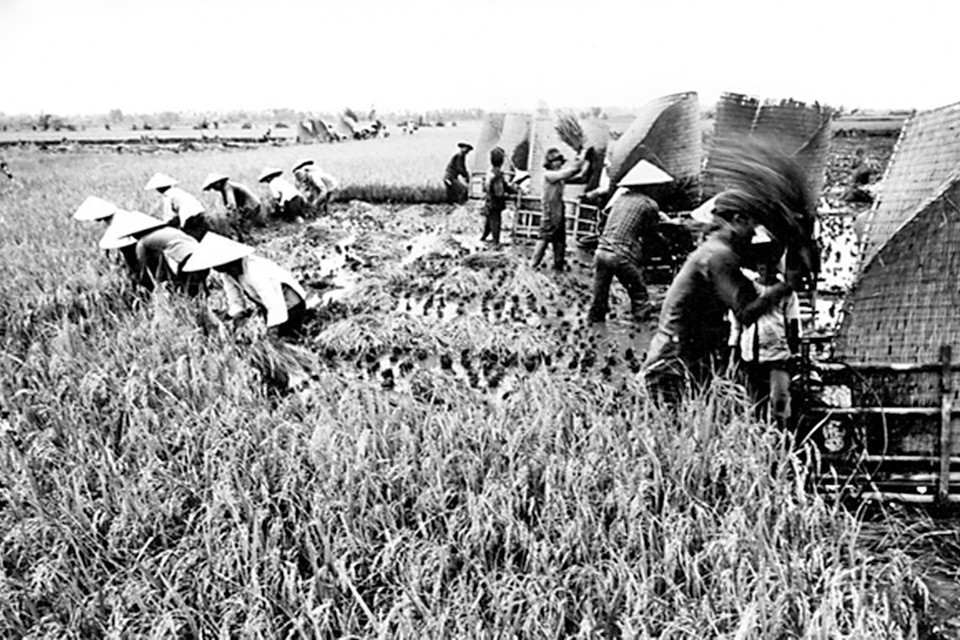 Dưới sự lãnh đạo của Đảng, thành phố Hồ Chí Minh có bước trưởng thành về nhận thức, mạnh dạn thể nghiệm những mô hình đổi mới cơ chế quản lý kinh tế, tháo gỡ khó khăn, giải phóng cho sản xuất phát triển đúng hướng, nhằm thoát khỏi cơ chế tập trung quan liêu bao cấp. (Nguồn: TTXVN)