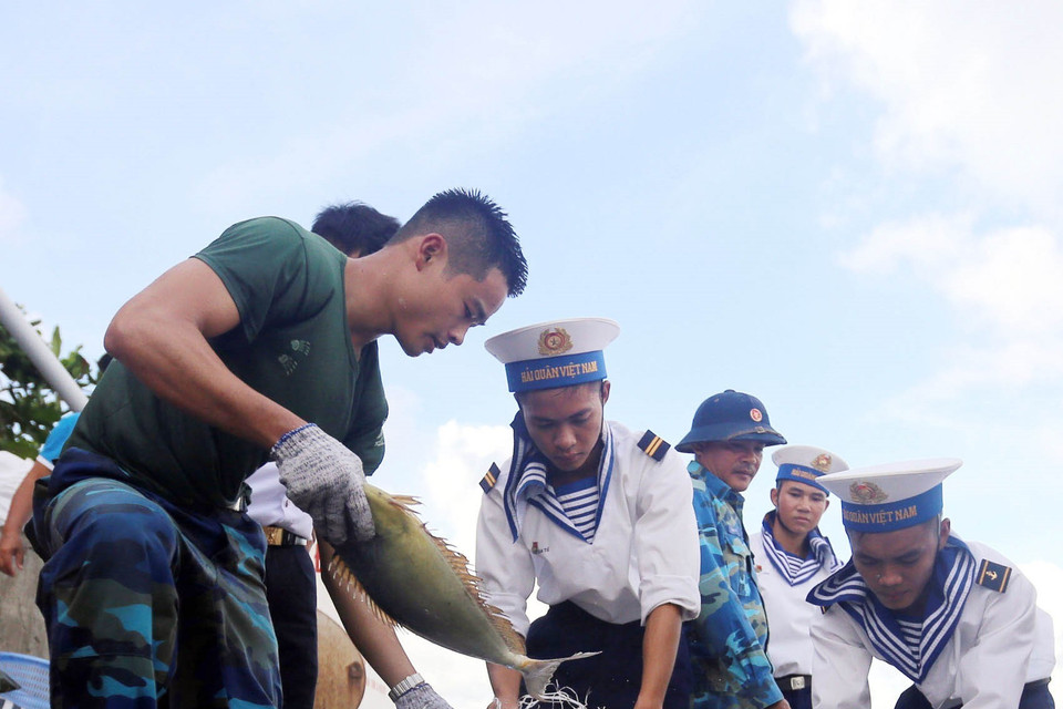 Thành quả một mẻ đánh bắt hải sản để cải thiện bữa ăn của chiến sỹ đảo Thuyền Chài B. (Ảnh: Danh Lam/TTXVN)