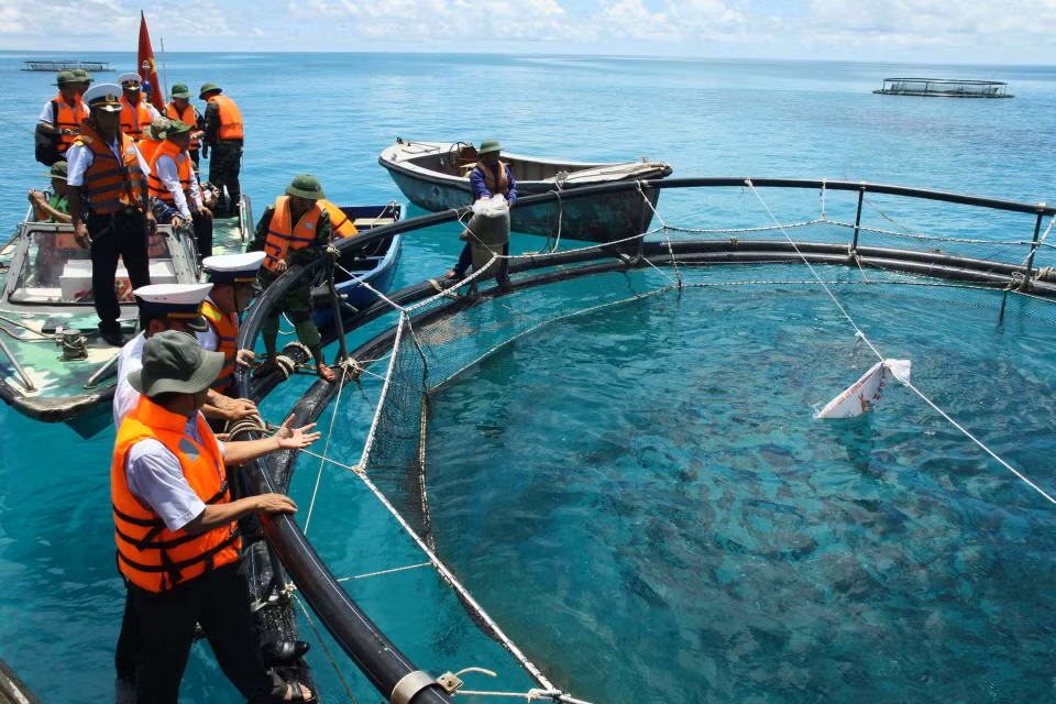  Mô hình nuôi cá lồng của chiến sỹ đảo Đá Tây góp phần cải thiện đời sống và phát triển kinh tế quốc phòng. (Ảnh: Hồ Cầu/ TTXVN)