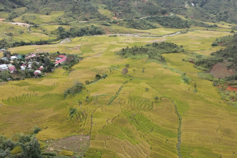 Cánh đồng lúa chín vàng xen với các thôn, làng của bà con Xơ Đăng tại thung lũng Măng Ri. (Ảnh: Dư Toán/TTXVN)