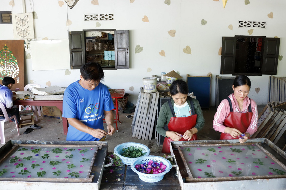 Sản xuất giấy Saa tại bản Xienglek, tỉnh Luang Prabang của Lào. (Ảnh: Phạm Kiên/TTXVN)