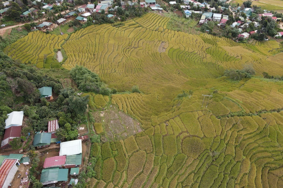 Ruộng lúa bậc thang tại thung lũng Măng Ri, huyện Tu Mơ Rông, tỉnh Kon Tum. (Ảnh: Dư Toán/TTXVN)