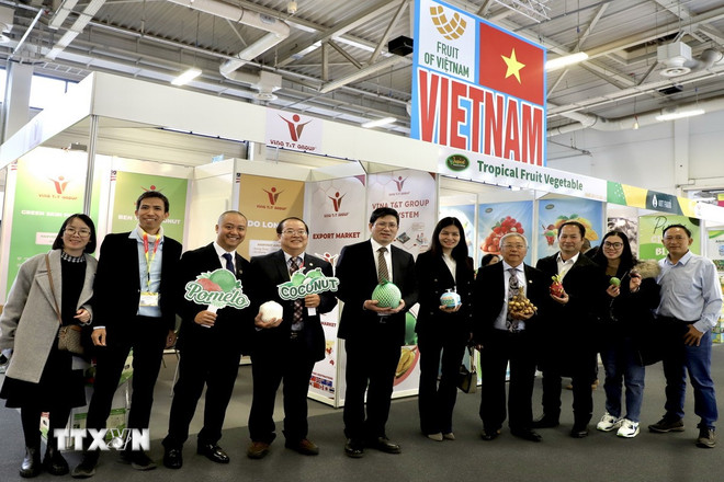 ttxvn-fruit-logistica-2.jpg