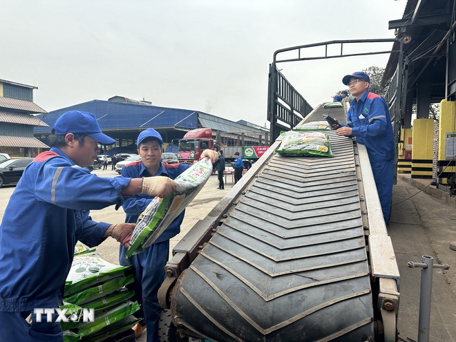 Vận chuyển sản phẩm phân bón tại Công ty cổ phần Supe phốt phát và hóa chất Lâm Thao. (Ảnh: Tạ Toàn/TTXVN) ttxvn-phan-bon-2.jpg