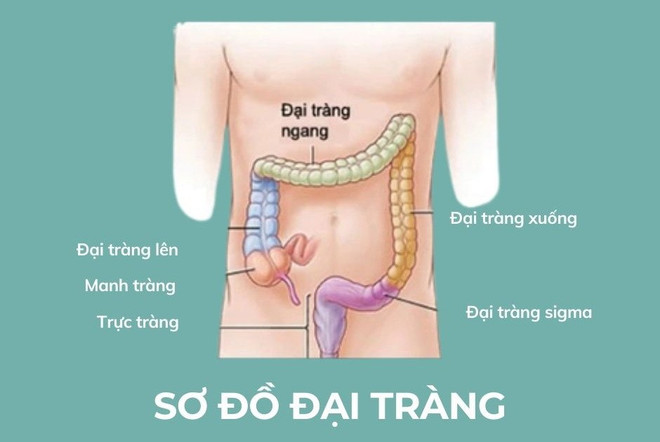 Ung thư đại trực tràng - người trẻ đừng chủ quan kẻo sớm ân hận dai-truc-trang.jpg