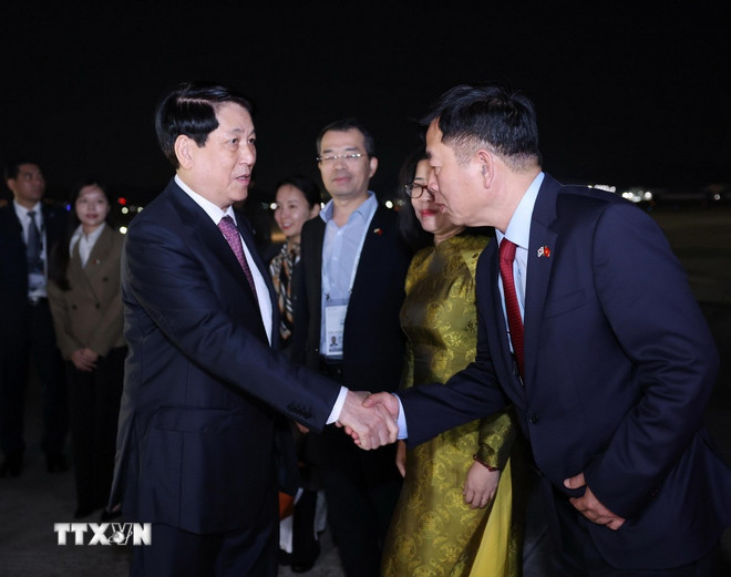 Prezident Luong Cuong opouští letiště Gimhae a úspěšně tak zakončuje svou cestu, na níž se zúčastnil 32. týdne summitu APEC a uskutečnil bilaterální schůzky v Korejské republice. (Foto: Lam Khanh/VNA) ttxvn-chu-tich-nuoc-ket-thuc-tot-dep-chuyen-tham-du-apec-lan-thu-32-1.jpg