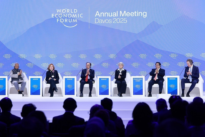 wef-2.jpg