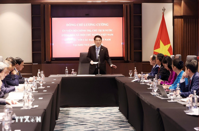 ttxvn-chu-tich-nuoc-lam-viec-voi-cac-dai-su-viet-nam-tai-chau-phi-9.jpg