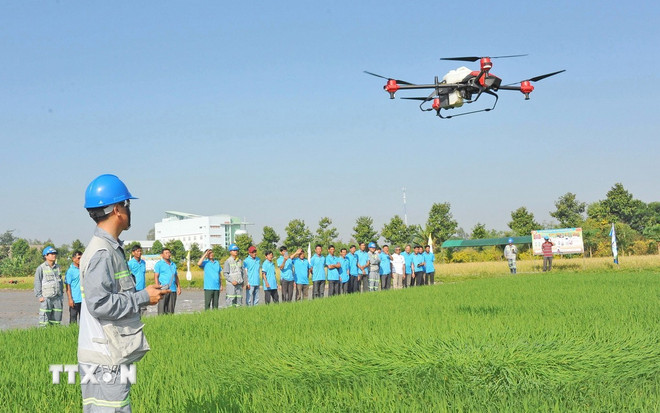 Nông dân tham quan trình diễn mô hình drone (máy bay không người lái) bón phân, phun thuốc trừ sâu cho cây lúa trên cánh đồng ở huyện Thoại Sơn. (Ảnh: Công Mạo/TTXVN) ttxvn-nong-nghiep-cong-nghe-cao-3.jpg