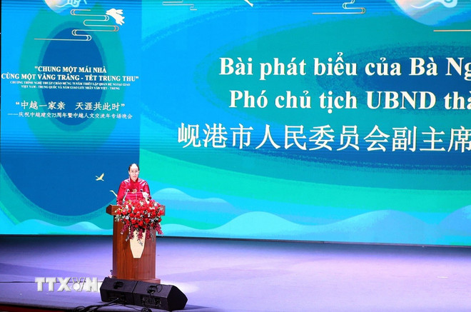 Phó Chủ tịch Ủy ban Nhân dân thành phố Đà Nẵng Nguyễn Thị Anh Thi phát biểu tại chương trình. (Ảnh: Trần Lê Lâm/TTXVN) ttxvn-nguyen-thi-anh-thi.jpg