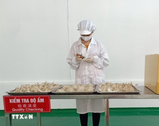 ttxvn-so-che-to-yen-2.jpg
